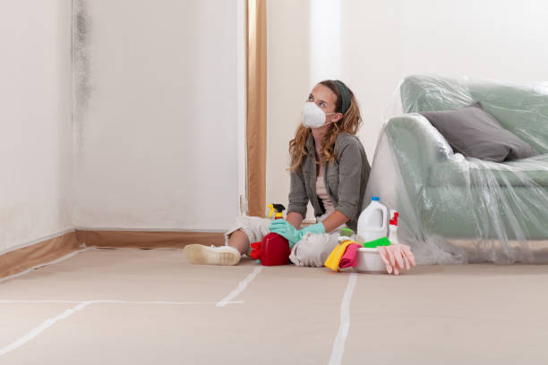 Reliable Mold Remediation contractor in Cologne, MN by WQB Mold Removal